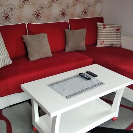 Lux Apartman Ristic 2 Soko Banja Bagian luar foto
